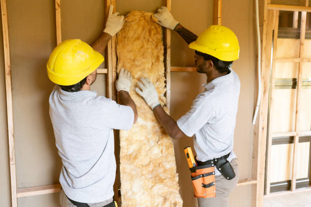 Insulation Air Sealing in Centre, AL